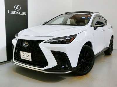 LEXUS NX - 4