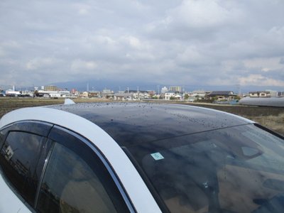 TOYOTA CROWN SPORT - 8