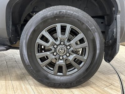 Thumbnail 31