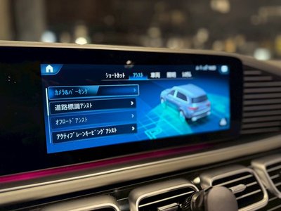 2021 Mercedes-BENZ GLS MAYBACH 缩略图 59