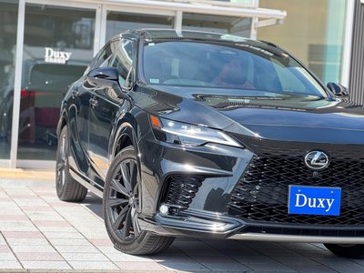 2024 Lexus RX — миниатюра 20