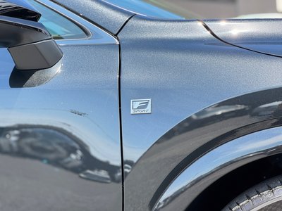 2024 Lexus RX — миниатюра 25