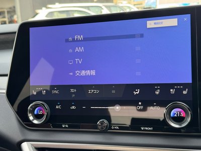 2024 Lexus RX — миниатюра 53