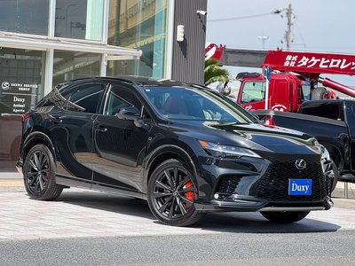 2024 Lexus RX — миниатюра 16