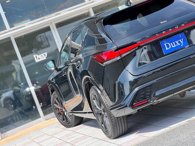 2024 Lexus RX — миниатюра 37