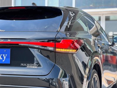 2024 Lexus RX — миниатюра 43