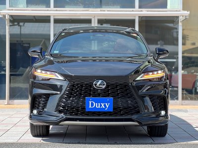 2024 Lexus RX — миниатюра 15