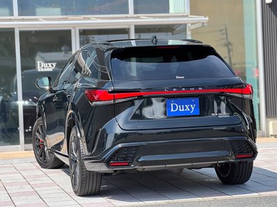 2024 Lexus RX photo 8