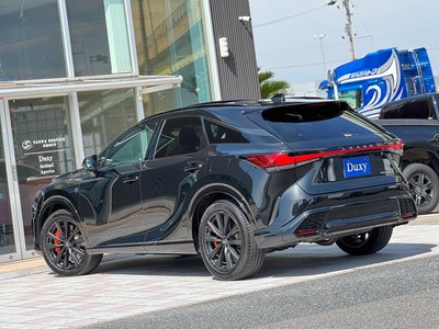 2024 Lexus RX — миниатюра 36