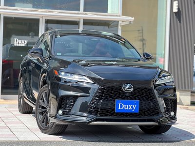 2024 Lexus RX photo 6