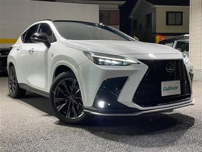 LEXUS NX 2023 thumbnail 18