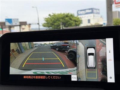 TOYOTA LAND CRUISER 250 - 2