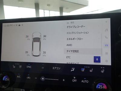 صورة مصغرة 50 لـ 2023 Lexus NX
