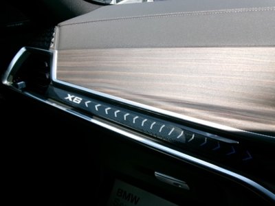 2025 BMW X6 缩略图 36