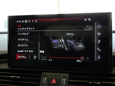 2025 AUDI Q5 SPORTBACK — миниатюра 41