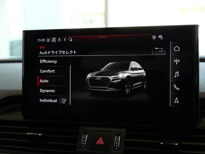 2025 AUDI Q5 SPORTBACK — миниатюра 40