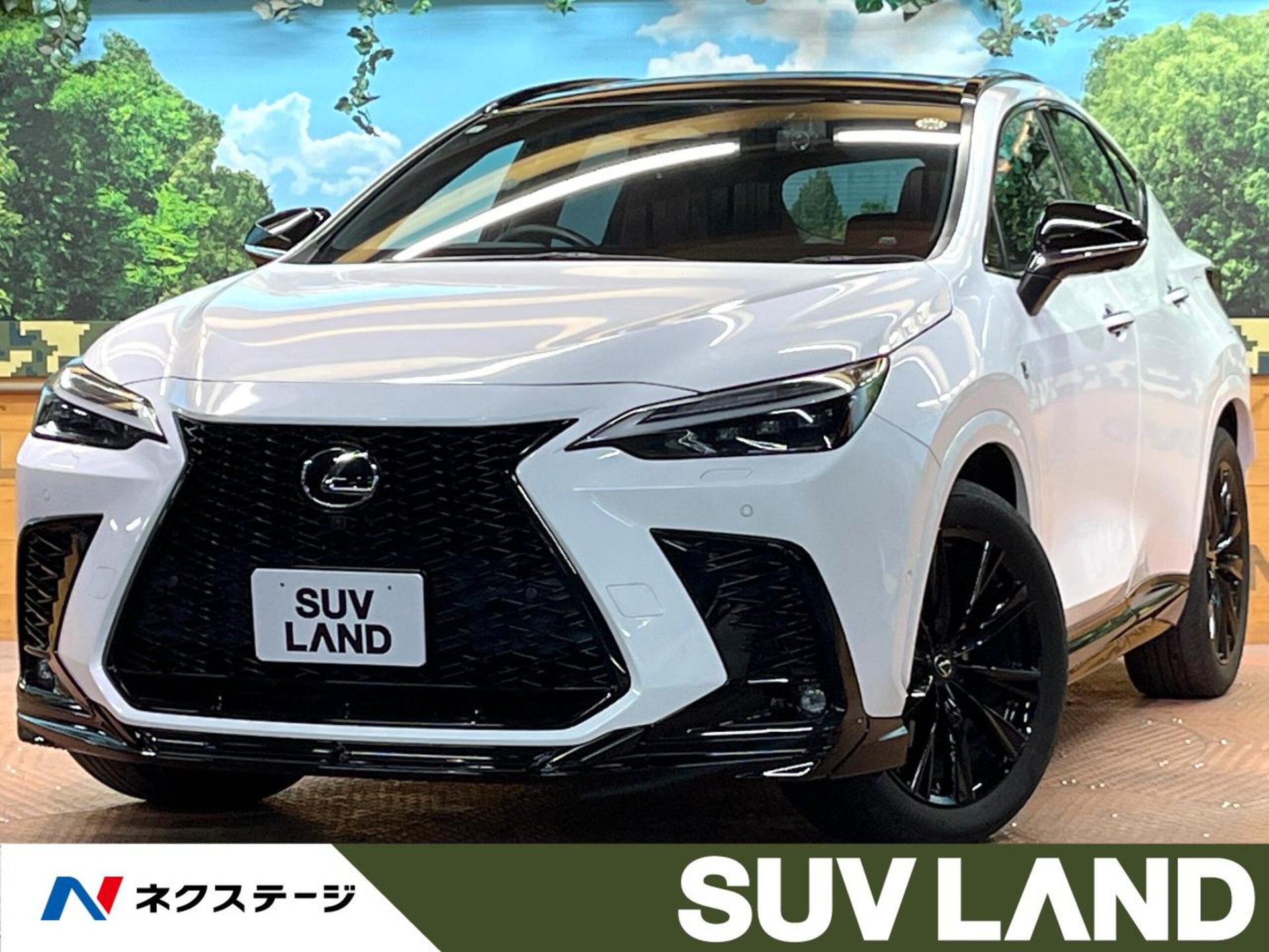 LEXUS NX - View 1