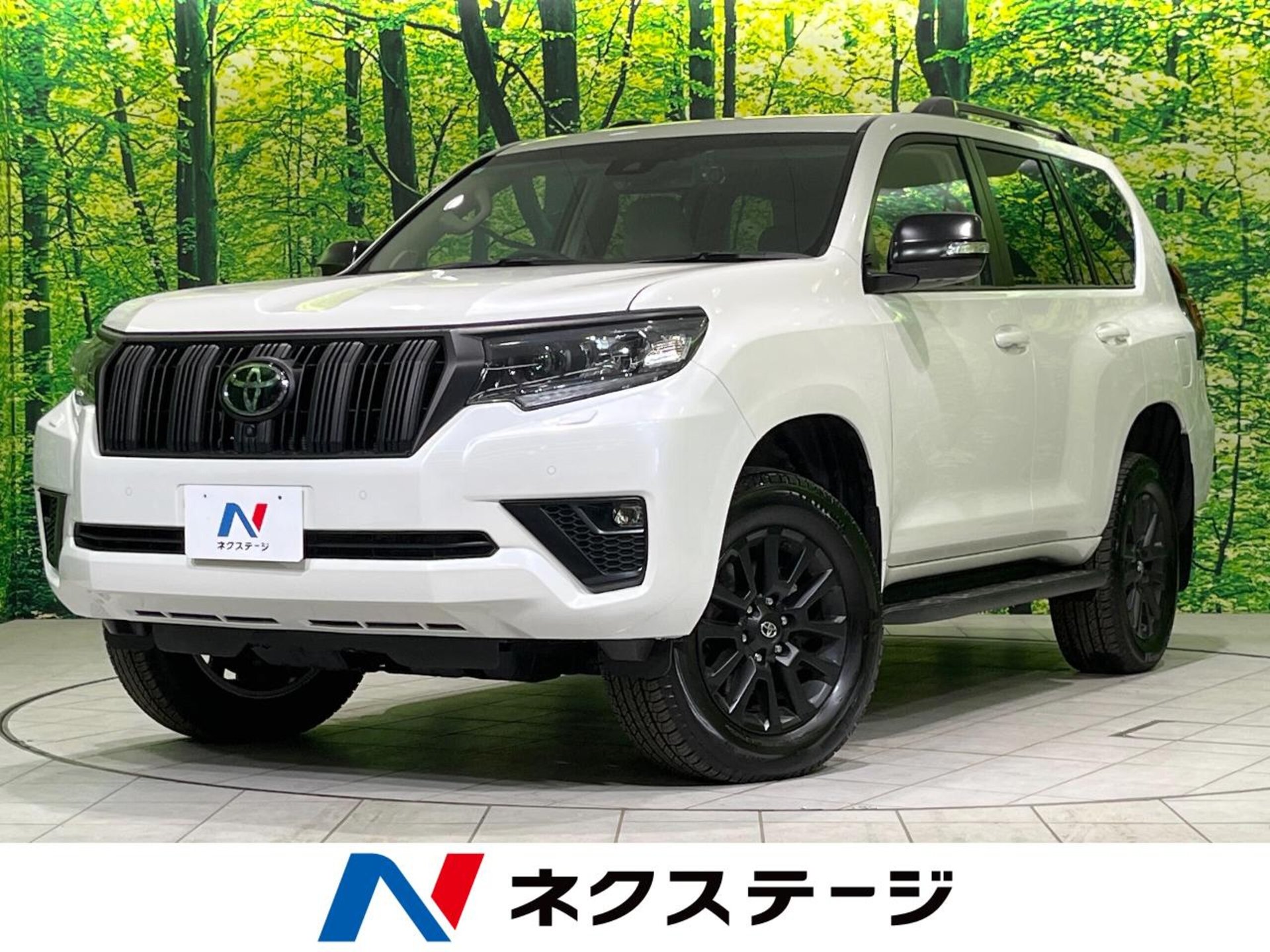 TOYOTA LAND CRUISER PRADO - View 1