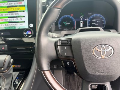 2024 TOYOTA ALPHARD thumbnail 19