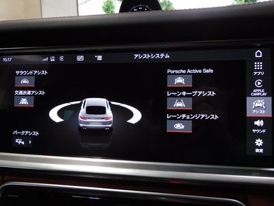 2017 Porsche PANAMERA 缩略图 14