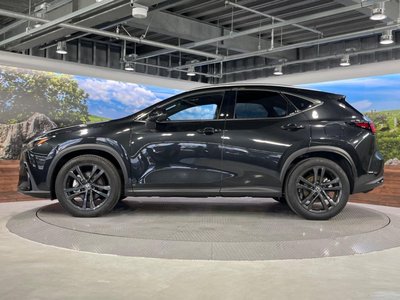 2023 Lexus NX 缩略图 25