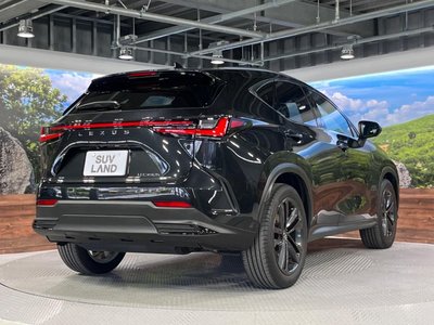 2023 Lexus NX 缩略图 18