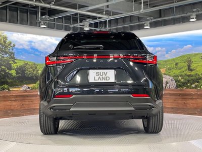 2023 Lexus NX 缩略图 16