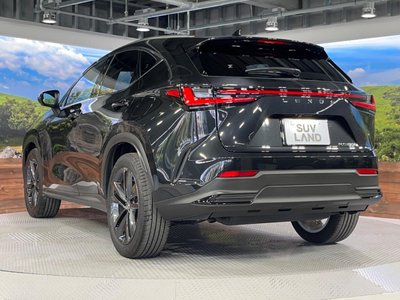 2023 Lexus NX 缩略图 24