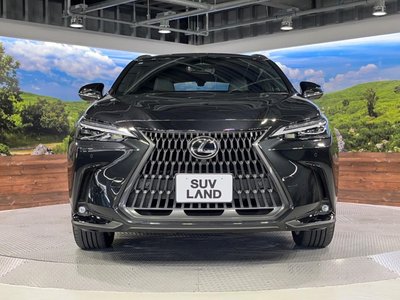 2023 Lexus NX 缩略图 15