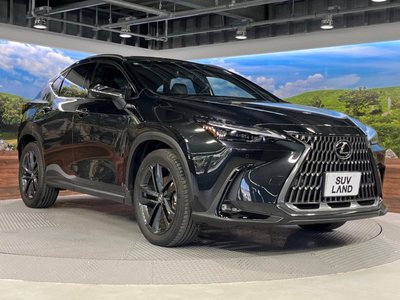 2023 Lexus NX 缩略图 17