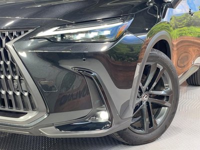2023 Lexus NX 缩略图 13