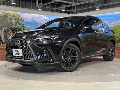 2023 Lexus NX 缩略图 22