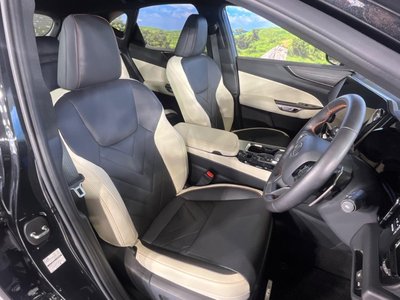 2023 Lexus NX photo 10