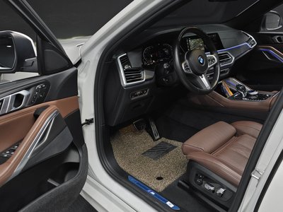 2022 BMW X6 照片 10