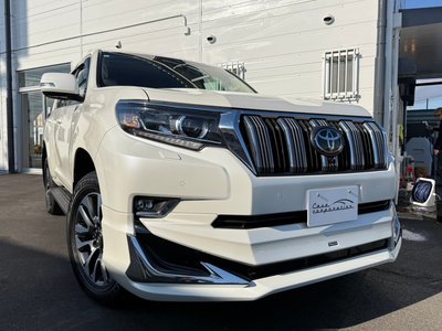 2023 Toyota LAND CRUISER PRADO — миниатюра 11