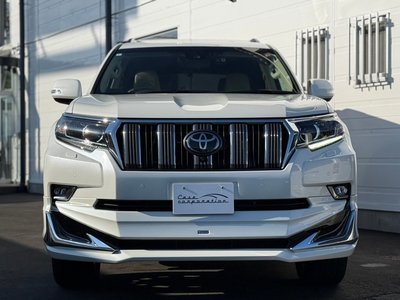 2023 Toyota LAND CRUISER PRADO — фото 8
