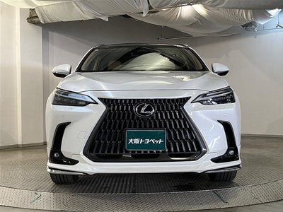 LEXUS NX - 2