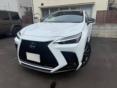 LEXUS NX - 1