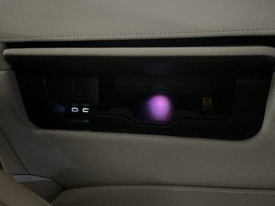 2024 Lexus LM 缩略图 20
