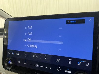 2024 Lexus LM 缩略图 11