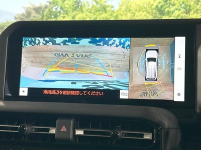 TOYOTA LAND CRUISER 250 - 5