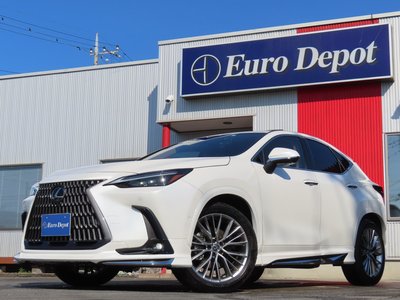 LEXUS NX - 1