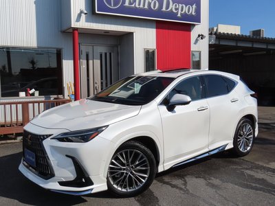 LEXUS NX - 2