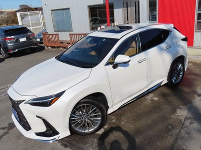 LEXUS NX - 3