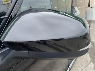 صورة مصغرة 37 لـ 2025 TOYOTA ALPHARD