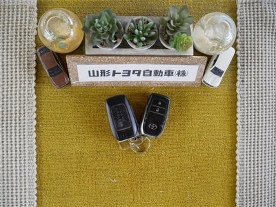 2019 Toyota LAND CRUISER 200 缩略图 34