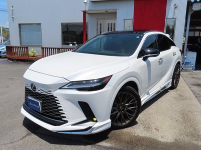2024 Lexus RX — миниатюра 83
