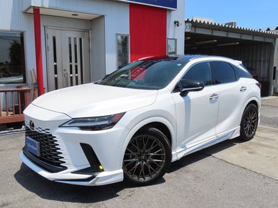 LEXUS RX - 2