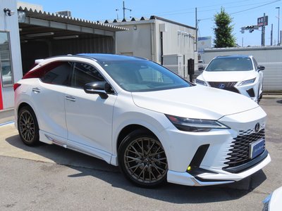 2024 Lexus RX — миниатюра 30