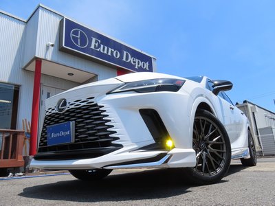 2024 Lexus RX — миниатюра 24